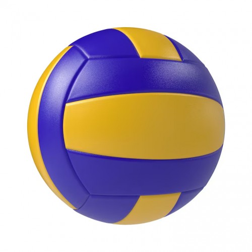 Volley Ball